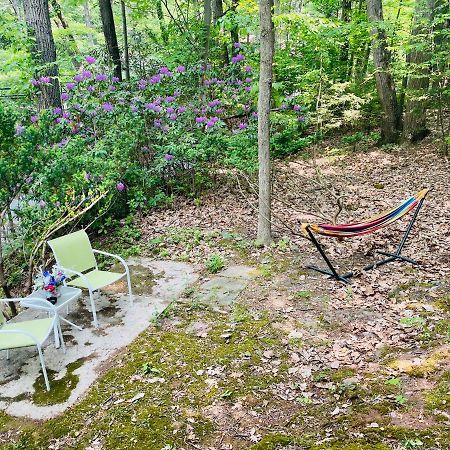 Modern Cabin With Hot Tub Grill Lake Beach Wineries Hiking Fishing And Hershey Park Family And Pet Friendly Superhosts On Ab&B Mount Gretna Extérieur photo